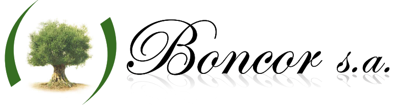 Logotipo Boncor